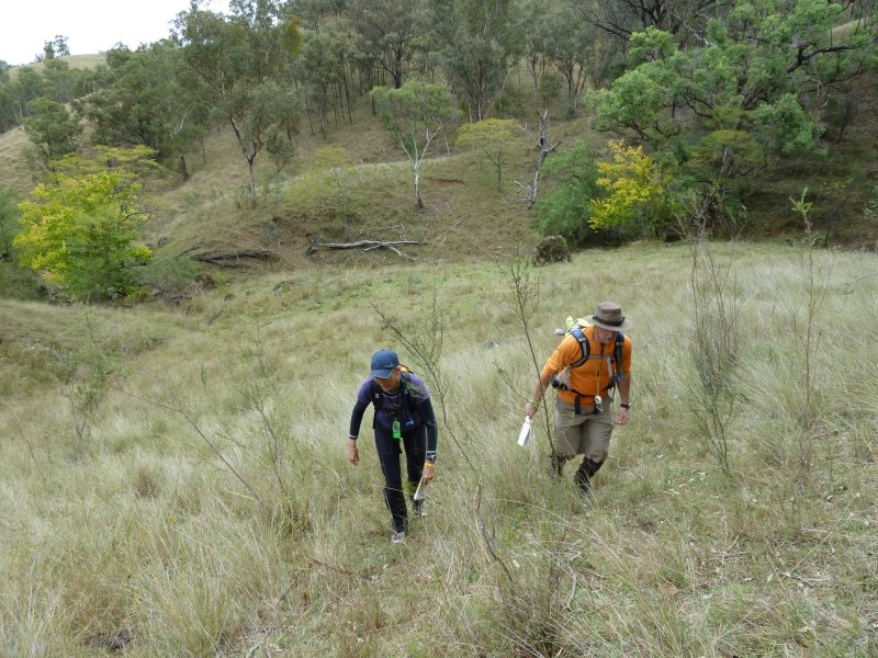 436 Jan and Mal climbing up from Native Dog Creek towards 75